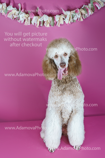 Roxy Studio Portrait #1