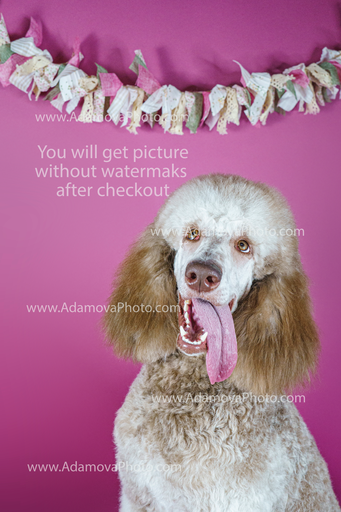 Roxy Studio Portrait #3