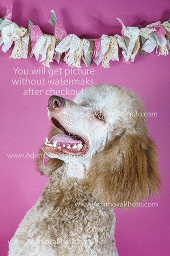 Roxy Studio Portrait #6